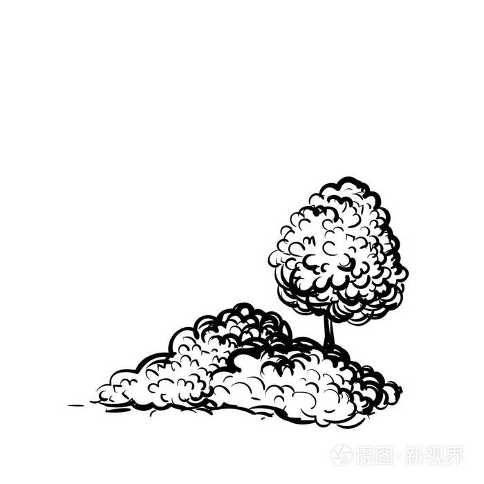 乔灌木白底手绘素描风格插画.植物黑白矢量单色轮廓图像