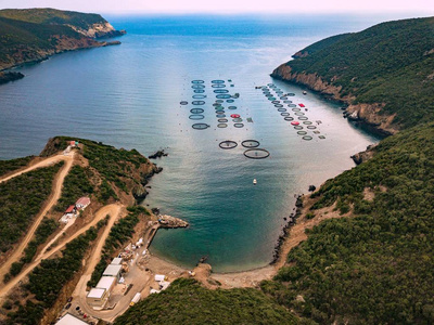 希腊有漂浮笼子的鲑鱼养殖场。 空中景色