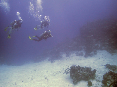 珊瑚礁的水肺潜水员