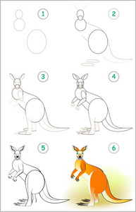 页面展示了如何一步地学习画一只可爱的袋鼠。培养孩子绘画和着色的技能。矢量图像。