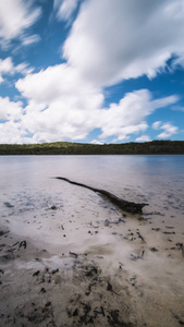 昆士兰斯特德布鲁克岛上的褐湖