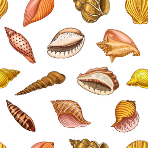 无缝花纹壳或软体动物不同的形式。海洋生物。刻在旧素描, 老式风格的手画。航海或海洋, 怪物或食物。海洋中的动物