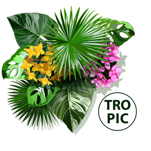 热带花卉的矢量横幅和热带花卉的叶子插图，用于水疗设计异国旅行度假娱乐T恤衫印刷