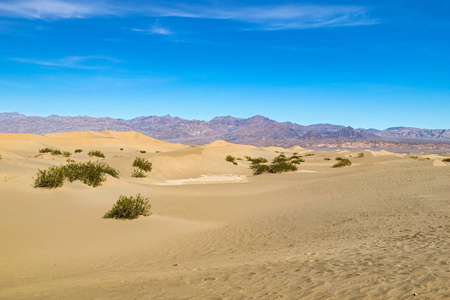 美国亚利桑那州的沙漠