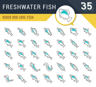 一组矢量线图标，标志和标志淡水鱼的现代概念，网络和应用程序。 信息图形标识和象形文字的集合。