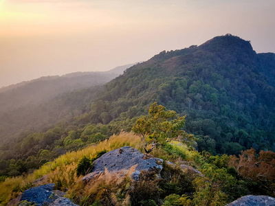 风景名胜区薄雾中的森林 instagram 过滤器山坡