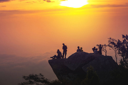 森林Instagram过滤山坡雾中的风景l