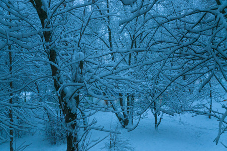 莫斯科的冬天。 雪覆盖了城市里的树木。 大雪后从窗户上看到的景色。 清晨黄昏