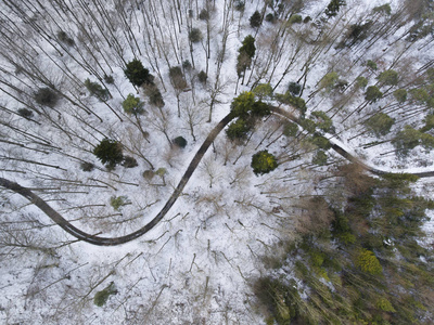 冬天下雪的乡村道路