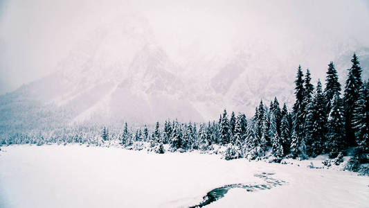 意大利阿尔卑斯山的降雪图片