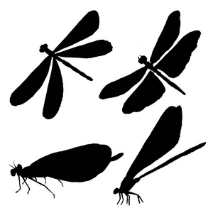 收集黑色蜻蜓剪影