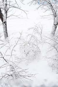 莫斯科的冬天。 雪覆盖了城市里的树木。 在大雪中从窗户看到的景色