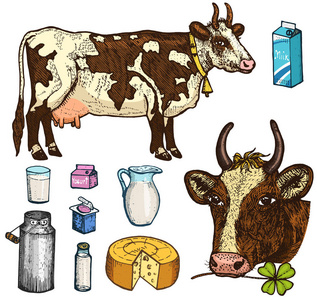 一套牛奶食品, 奶制品, 酸奶和奶酪, 冰淇淋, 瓶子, 壶, 黄油和起泡奶昔。牛, 罐头, 乡村或乡村农场, 健康饮食。刻在旧