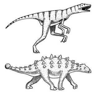 恐龙甲, Talarurus, 迅猛, Euoplocephalus, Saltasaurus, 骨骼, 化石。史前爬行动物, 