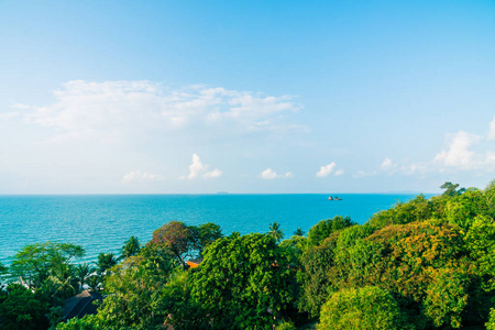 美丽的海滩和海