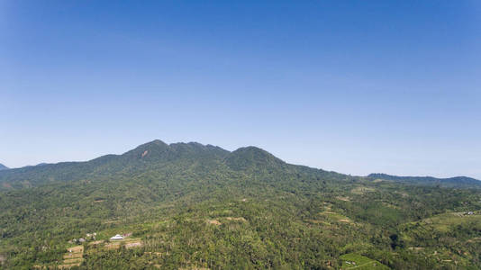 山森林风景的看法。巴厘岛