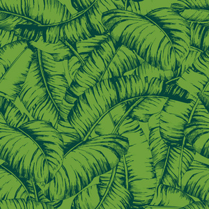 无缝香蕉叶图案为时尚纺织, 黑线植物矢量插图