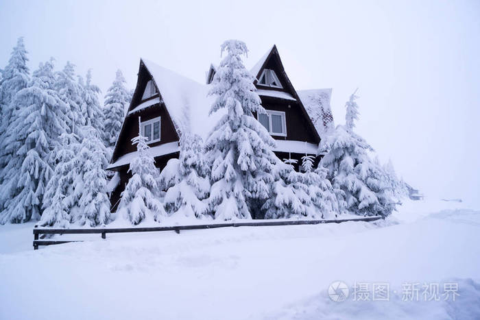 冬天下雪的故事房子里的人和树木在密集的雪下.
