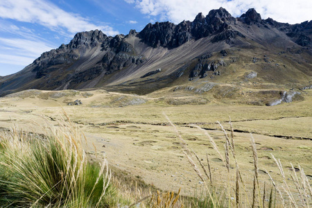 秘鲁安第斯山脉的大平原上的草原和山景