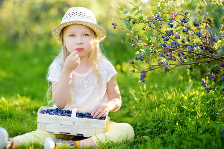 可爱的小女孩在温暖和阳光明媚的夏日在有机蓝莓农场采摘新鲜浆果。 新鲜健康的有机食品给小孩子吃。
