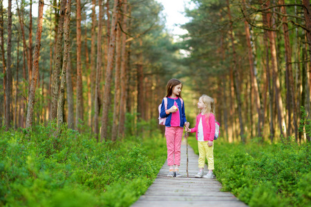 两个可爱的小妹妹在美丽的夏日森林徒步旅行中玩得很开心。 积极的家庭休闲与孩子。 家庭乐趣。