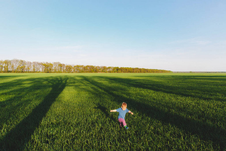 快乐可爱的小男孩在绿草地里走小麦的背景, 休息, 玩乐, 玩耍, 奔跑。小孩子儿子家庭夏日日, 5月15日, 爱, 好心情, 父