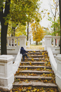 小男孩穿着蓝色的衣服走在秋天的公园里, 爬上台阶, 干黄秋叶。小男孩在台阶上。父母, 家庭日 5月15日, 爱, 父母, 孩子的