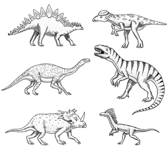 恐龙设置, 三角, Barosaurus, 霸王龙, 剑龙, Pachycephalosaurus, 恐龙, 骨骼, 化石。史前