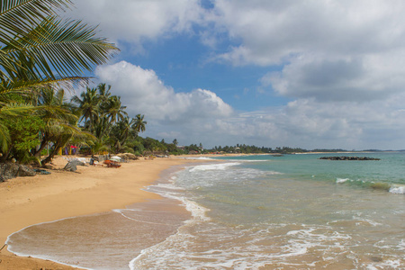 美丽的海滩。不错的热带海滩，与棕榈树围绕的视图