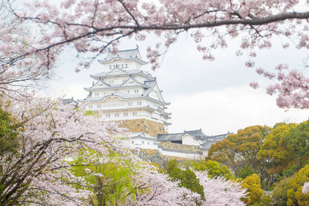 中村海梅吉城堡冬季旅游观光是日本文化中最好的观光之一