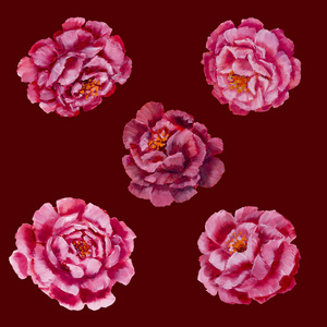 花型设计粉红色牡丹，玫瑰花。手绘创意花画..可用于邀请函，名片，封面，笔记本..艺术作品图案插图
