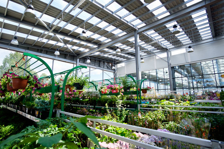 现代温室植物与花卉