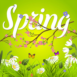 春季矢量文本刻字背景与花花卉绿色文本字母装饰美丽的书法花你好春天来了海报插图