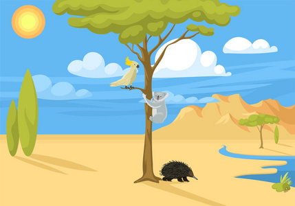澳大利亚野生背景景观动物卡通流行自然扁式澳大利亚本土森林矢量插画