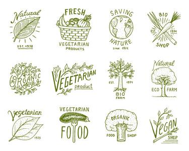 健康有机食品徽标或标签和元素为素食和农场绿色天然蔬菜产品, 矢量插图。徽章健康生活。刻在旧素描手绘