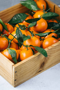 橘子橙, clementines, 柑橘果与绿叶在一个木盒上的光背景与复制空间