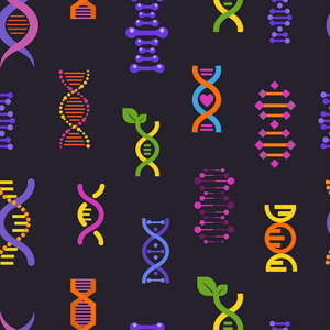 生物医学研究与 Dnase 或 Dnabinding 结构的 Dna 无缝模式向量遗传标志黑色背景的插图背景
