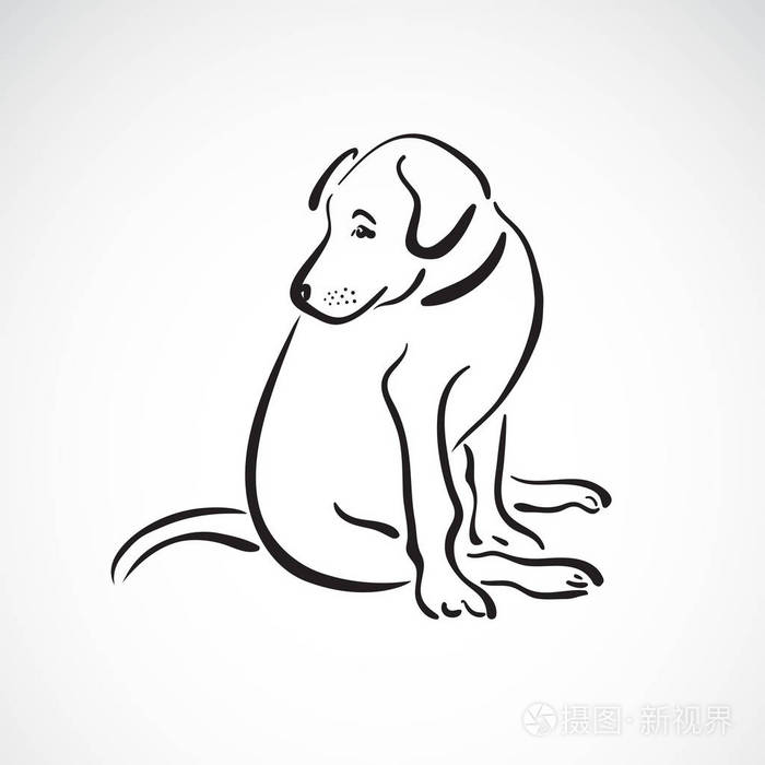 在白色背景下的警犬 (拉布拉多猎犬) 的载体, p插画