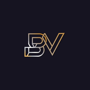 BV首字母标志深色背景