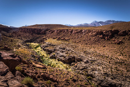阿塔塔塔沙漠, 智利Guatin 峡谷全景在 Ata
