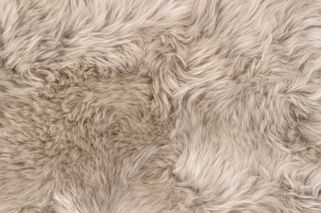 天然羊皮地毯背景纹理绵羊毛皮图片
