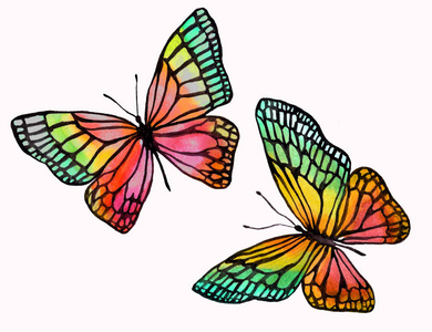 黑色轮廓水彩蝴蝶插图