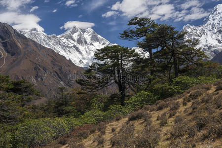 喜马拉雅山