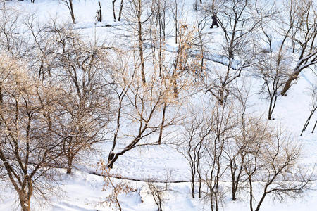 冰雪覆盖的城市花园俯瞰图