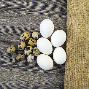 白鸡蛋和鹌鹑蛋并排站在木地板上