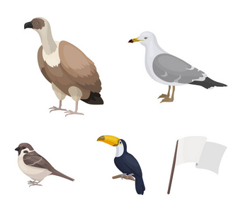 海鸥, 巨嘴鸟和其他物种。鸟类集合图标卡通风格矢量符号股票插画网站