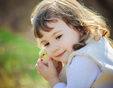 孩子手里拿着一只鸡。女孩和鸟。有选择的焦点。