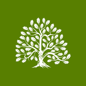 巨大而神圣的橡树轮廓标志徽章隔离在绿色背景上。现代矢量民族传统绿植图标标牌设计..优质有机盆景标志型平面插图。