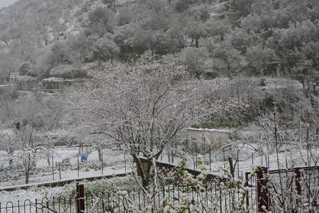 意大利南部冬季景观2018年1月3日。