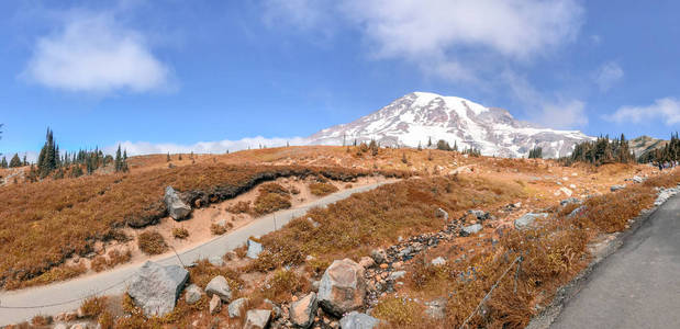 在美丽的秋日，雷尼尔山小径的全景。